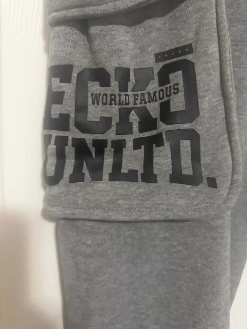 Ecko Unltd. World Famous Graphic Fleece Cargo Joggers